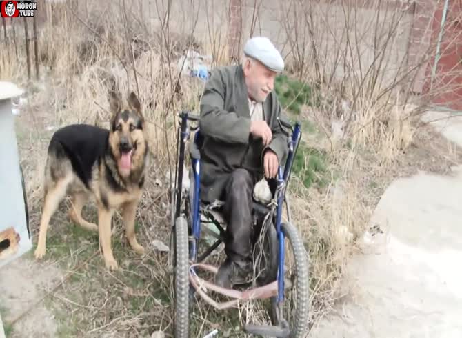Video :A guy in a wheelchair says of his dog, He is more human than people (Kazakhstan)